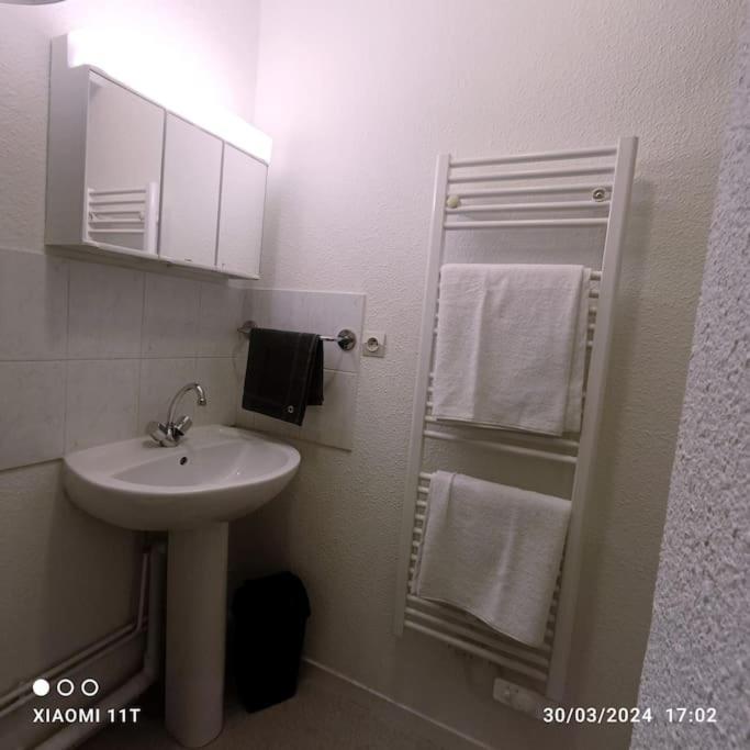 Villeurbanne Centre Appartement Meuble Kültér fotó